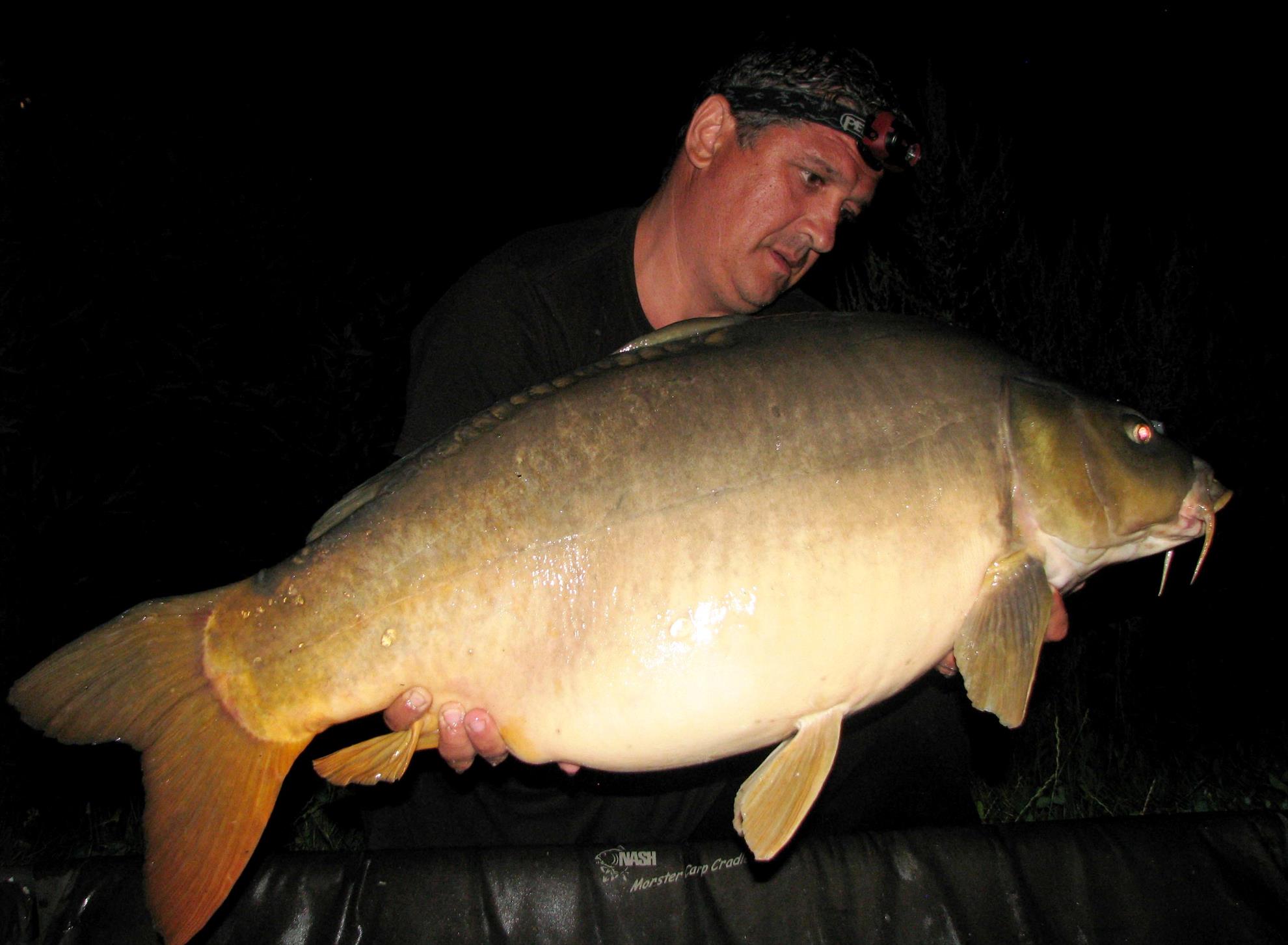 Harsany 21 - 27 iul. - img0206.JPG